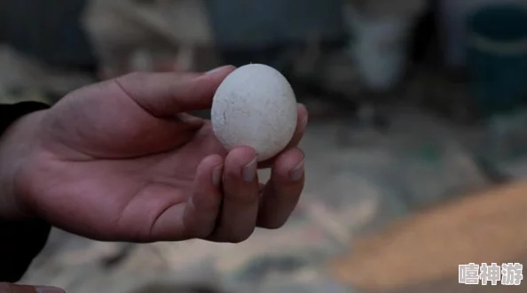 双男摸蛋事件引发热议,网友纷纷讨论其背后的社会意义与文化影响 双男摸蛋事件引发热议,网友纷纷讨论其背后的社会意义与文化影响