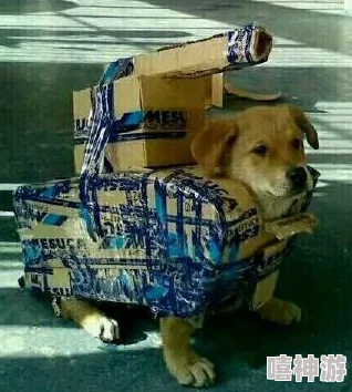 一人一狗卡住6小时要紧吗？专家解析：长时间被困对宠物和主人健康的影响及应对措施