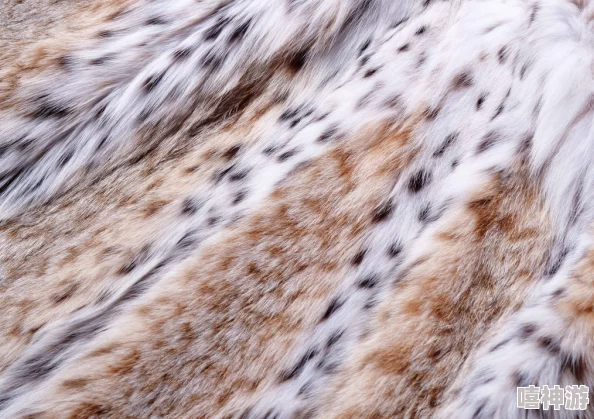 AAAA级毛皮是正规品牌吗？了解高端时尚与奢华品质的完美结合