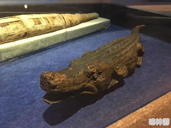 《保卫萝卜4》法老归来系列第77关详细通关策略与技巧指南