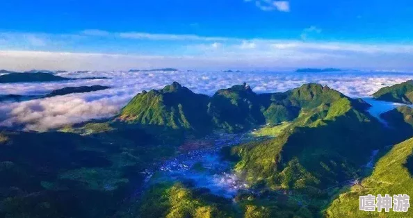 久久久一区二区三区精华液：深度解析其成分与功效，助你找到适合自己的护肤方案