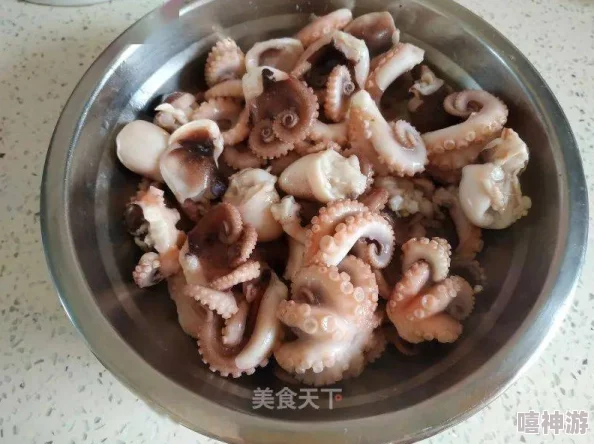 by1235鱿鱼官网换哪了？最新动态与用户反馈汇总，了解平台变更对玩家的影响和新功能介绍