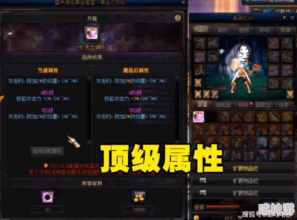 DNF游戏中:宠物与装备哪个对角色提升效果更佳探讨 DNF游戏中:宠物与装备哪个对角色提升效果更佳探讨