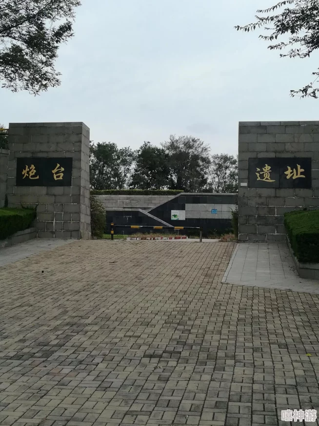 大连公园里30元一次，竟然有神秘游客频繁现身，引发众人猜测其真实身份和来历！