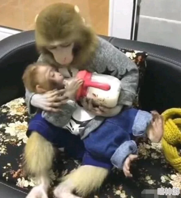两人生猴子全程无被子，理解生活中的温暖与陪伴的重要性