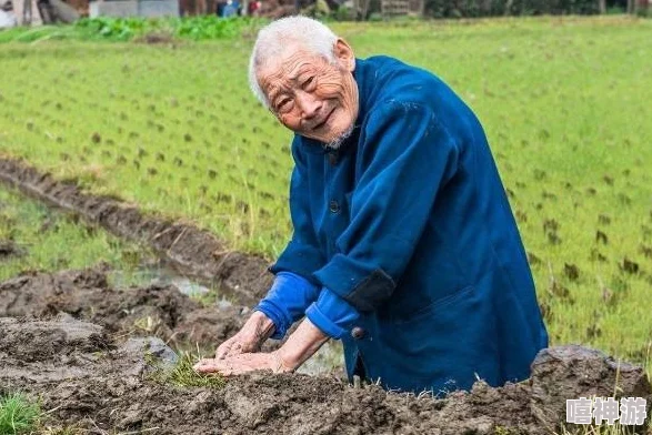 儿子耕种母亲的田地叫什么名字？探讨家庭关系与农业传承中的深刻意义与文化内涵