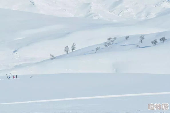 雪居之地新手玩家全面指南：初入游戏必备攻略与技巧