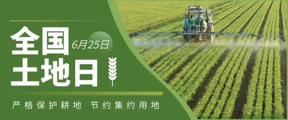 大地资源中一文在线观看免费版：探讨自然资源的可持续利用与环境保护的重要性及其未来发展方向