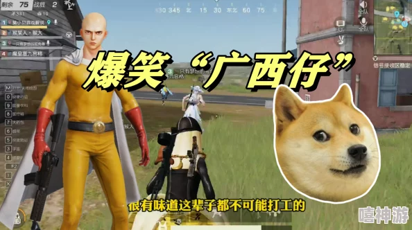 探究野狗子裂头怪：单机游戏还是网络游戏？详细类型介绍
