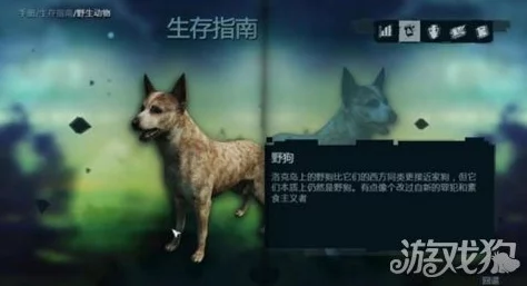 探究野狗子裂头怪：单机游戏还是网络游戏？详细类型介绍