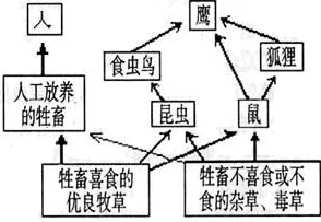 一起草17.c：探讨可持续发展与草原生态保护的重要性以及面临的挑战与解决方案