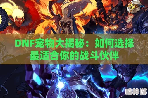 DNF今年宠物选择指南:如何挑选最适合你的属性搭配 DNF今年宠物选择指南:如何挑选最适合你的属性搭配