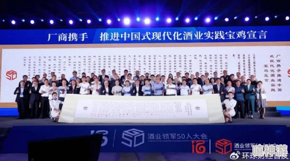 2023年四川妇女在BBBB职业发展中的挑战与机遇：政策支持与社会环境的影响分析