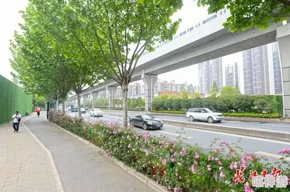 荫道BBwBBw：探讨城市绿化对街道生态环境的重要性及其对居民心理健康的积极影响