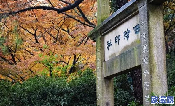 怡春院亚洲：探寻这一历史悠久的文化遗址及其在现代社会中的影响与价值