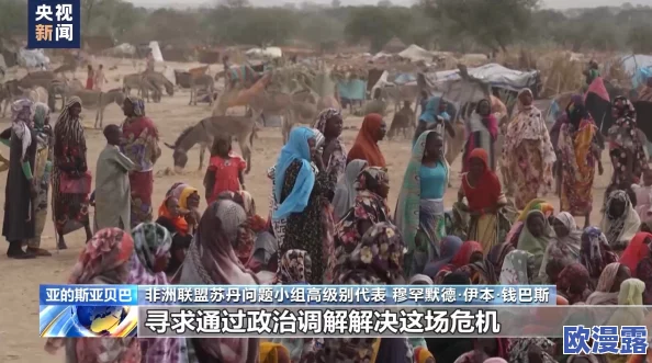 缅北禁区：局势持续紧张，国际社会呼吁和平解决冲突与人道援助进展情况分析