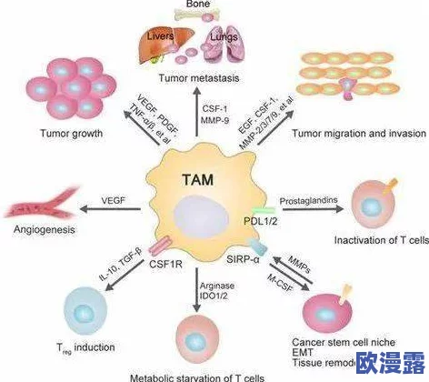 六年级扣出白沫：探讨科学实验中的气泡形成与表面张力的关系，促进学生对物理现象的理解与兴趣培养