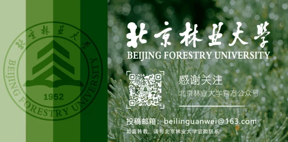 嫩叶草m码和澳洲码：时尚圈新宠，明星们纷纷抢购背后的秘密你知道吗？