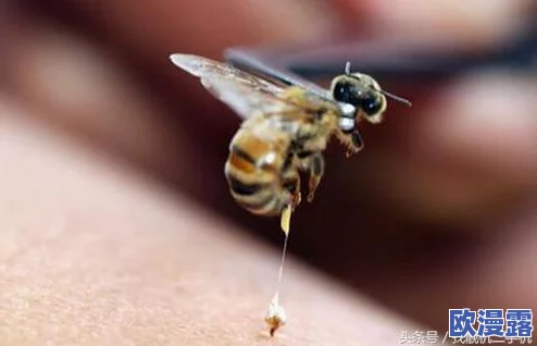 蛇倒刺蛇j子宫的出处和历史背景:从古代文献到现代生物学研究的演变与影响 蛇倒刺蛇j子宫的出处和历史背景:从古代文献到现代生物学研究的演变与影响