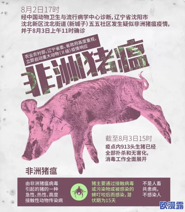 非洲人与禽性动交CCOO：探讨其社会文化背景、生物学影响及伦理争议的多角度分析研究