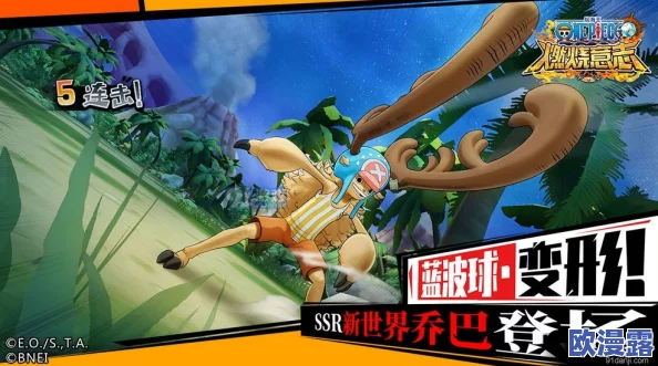 《航海王燃烧意志》顶尖助战伙伴精选，助你扬帆起航海贼冒险新旅程