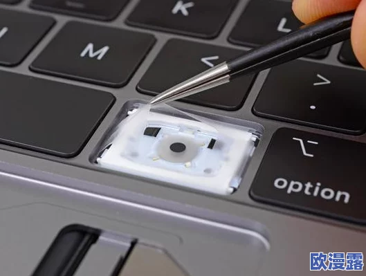 MacBook Pro高清线最新进展:提升显示效果与连接稳定性,满足专业用户需求的全新选择 MacBook Pro高清线最新进展:提升显示效果与连接稳定性,满足专业用户需求的全新选择