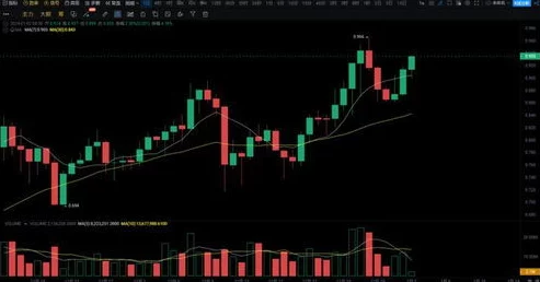 1000大看免费行情的软件下载：2024年热门金融工具推荐与使用指南