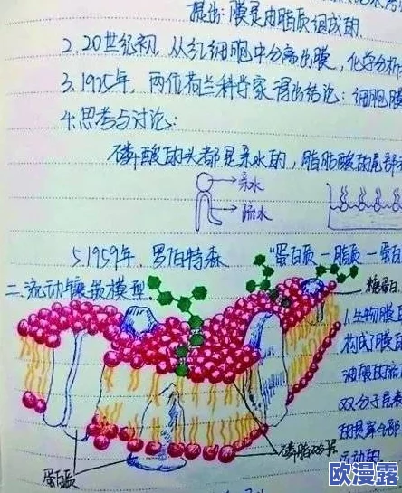 体内 精69XXXXXx白浆，用户评价：效果显著，使用后感觉明显改善，值得推荐！
