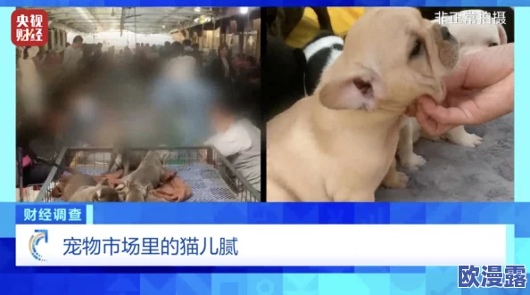 AAAAAA片-裸-体-全身：新研究揭示人类身体的神秘之处，挑战传统观念，引发广泛讨论与关注