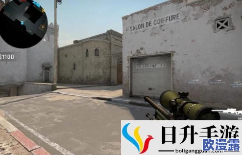 暴躁老阿姨csgo的成就与荣誉：网友热议她在游戏界的影响力与独特风格，称赞其勇气和坚持不懈的精神