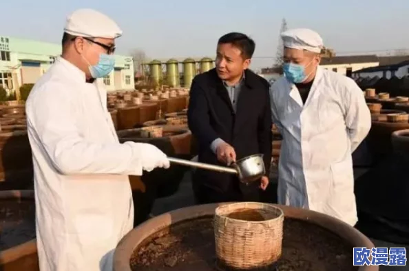 真人两个男生做酿酿酱酱，探讨不同酱料制作技艺与风味搭配的奇妙旅程