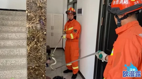 全面解析卧底大师通关攻略：全关卡深度剖析与顶级策略揭秘指南