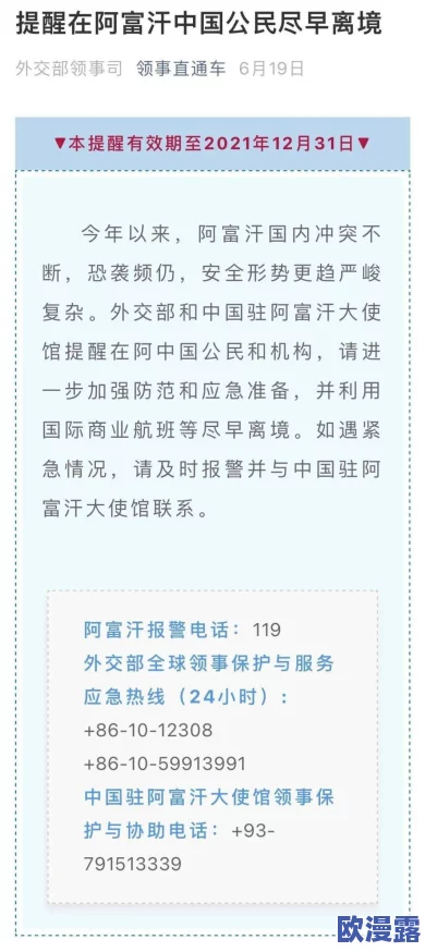 张津瑜9分35秒未删减版引发热议，网友纷纷表示期待更多真实瞬间与情感共鸣