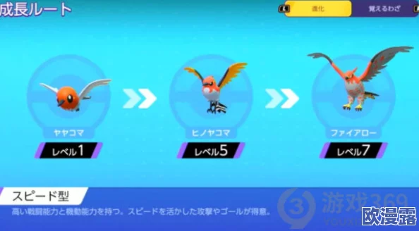 宝可梦大集结：烈箭鹰技能搭配与战术详解指南