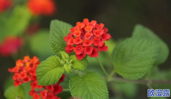 含羞草实验究究所隐藏路线：传闻内部有神秘实验，科学家们秘密研究植物与人类情感的奇妙联系！