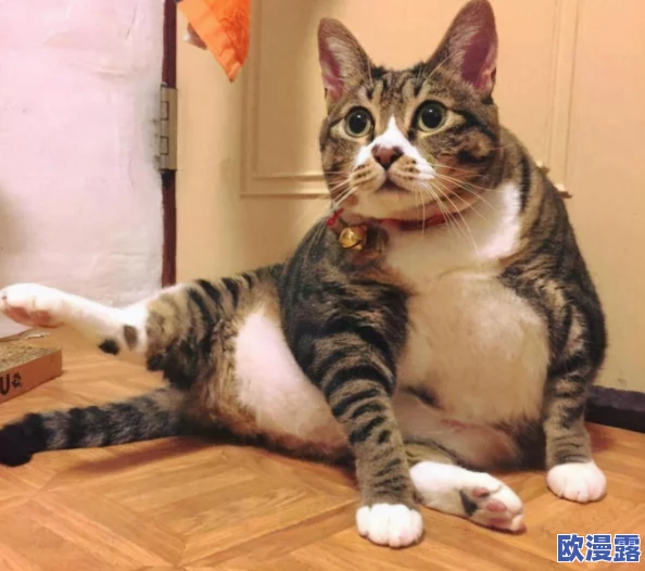 成品人和精品人哪种颜色？内幕揭秘：这两类人的性格特点及相处之道