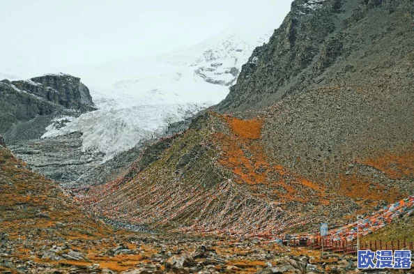 2024海角最新回家路，畅游风景如画之旅，感受家的温暖与自然的美好