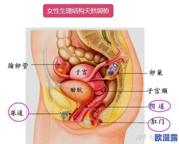 挺进她的花苞,太紧了,爽,了解女性生理结构与生理反应,掌握健康交往和沟通技巧的重要性 挺进她的花苞,太紧了,爽,了解女性生理结构与生理反应,掌握健康交往和沟通技巧的重要性