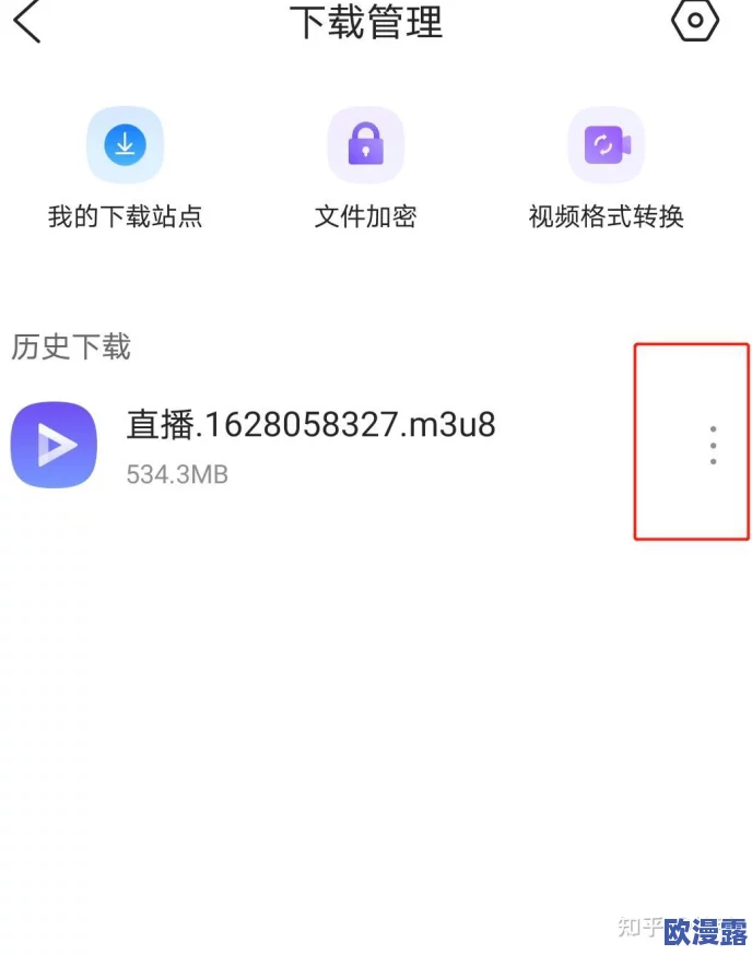 蜜桃视频m3u8在线观看：详解视频格式、播放方法及热门应用推荐，助你畅享流媒体体验