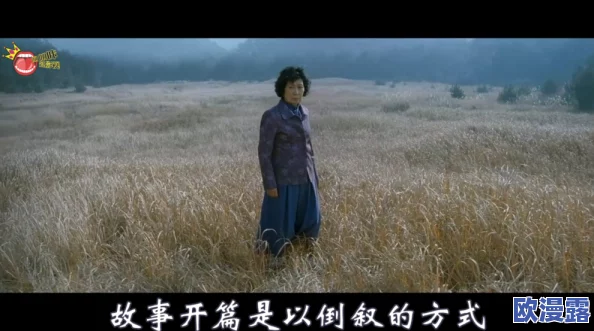 儿子耕种母亲的田地的寓意电影：传承与责任交织的人生旅程，感悟家庭与自然的深刻联系