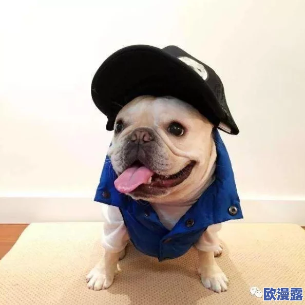 狩猎时刻游戏宠物获取攻略：详解宠物蛋的多种获得方法介绍