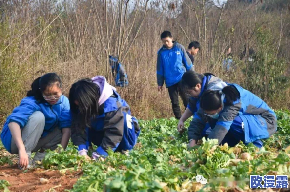 男女拔萝卜：在乡村活动中，男女共同参与体验传统农耕乐趣，感受丰收的喜悦与团结的力量