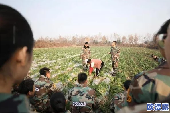 男女拔萝卜：在乡村活动中，男女共同参与体验传统农耕乐趣，感受丰收的喜悦与团结的力量