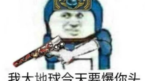 pdd碰到暴躁妹子csgo：游戏中的情绪管理与团队合作的重要性探讨