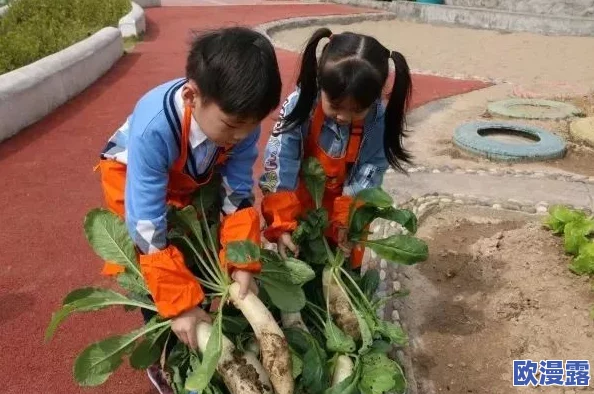 拔萝卜又叫又疼：揭示农村生活中的艰辛与乐趣，以及农作物采摘对家庭经济的重要性