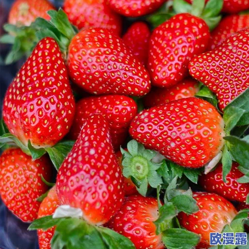 草莓视频2018旧：回顾当年热门内容与用户反馈，分析其对后续视频平台发展的影响与启示