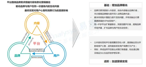啦啦啦视频在线观看播放www：解析其影响力与用户体验的多元化发展趋势及未来展望