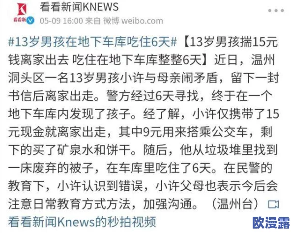 绑架舞蹈生小悦的作文800字：揭示事件背后的真相与社会反思