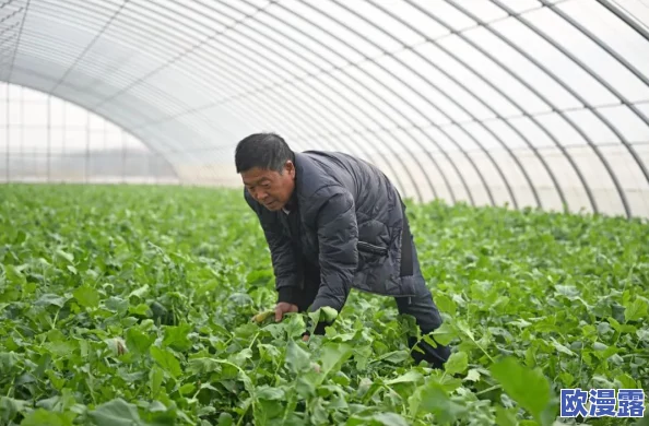 拔萝卜痛又降黄9.1现看：解析近期天气变化对农作物生长的影响与应对策略