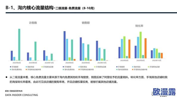 国精产品六区有限公司：探索国精产品的发展历程、市场定位及其在行业中的影响力和创新能力